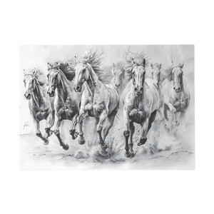 Black And White Horses Puzzle