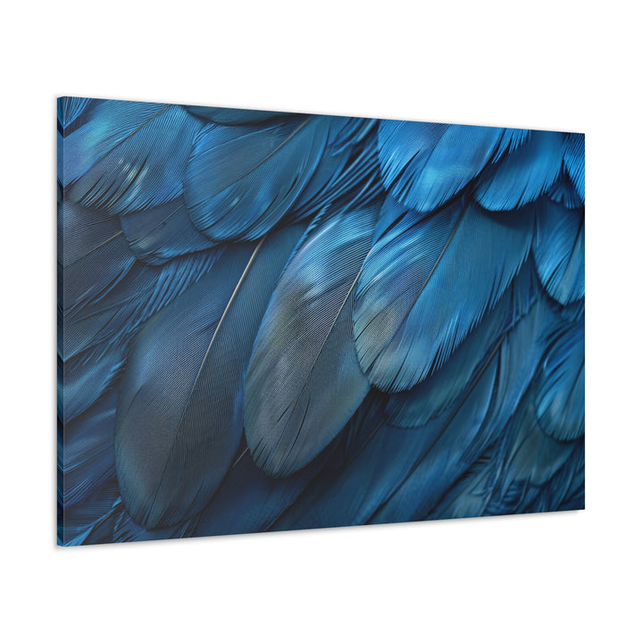 Blue Feathers
