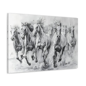 Black and White Horses