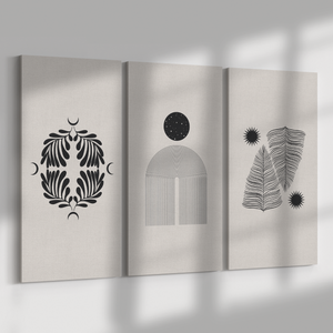 Black and White Feathers