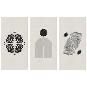 Black and White Feathers