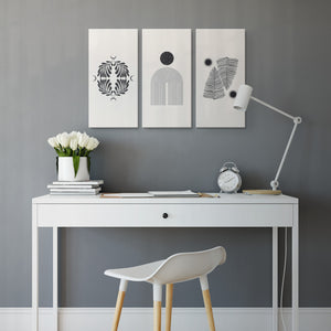 Black and White Feathers