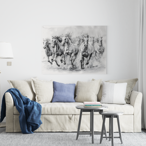 Black and White Horses