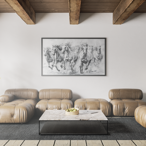 Black and White Horses