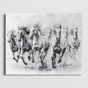 Black and White Horses