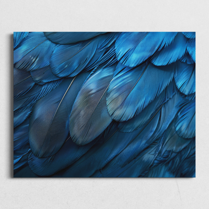 Blue Feathers